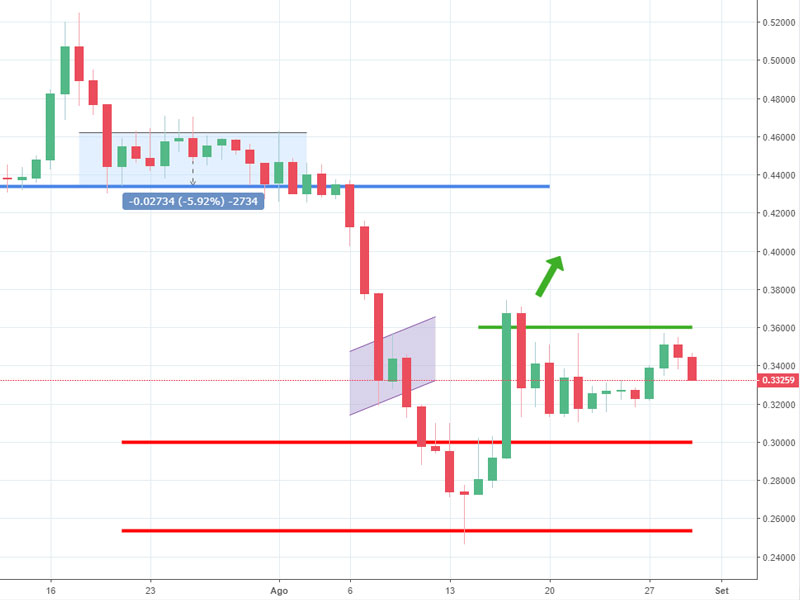 Grafico Ripple