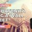 video analisi wall street